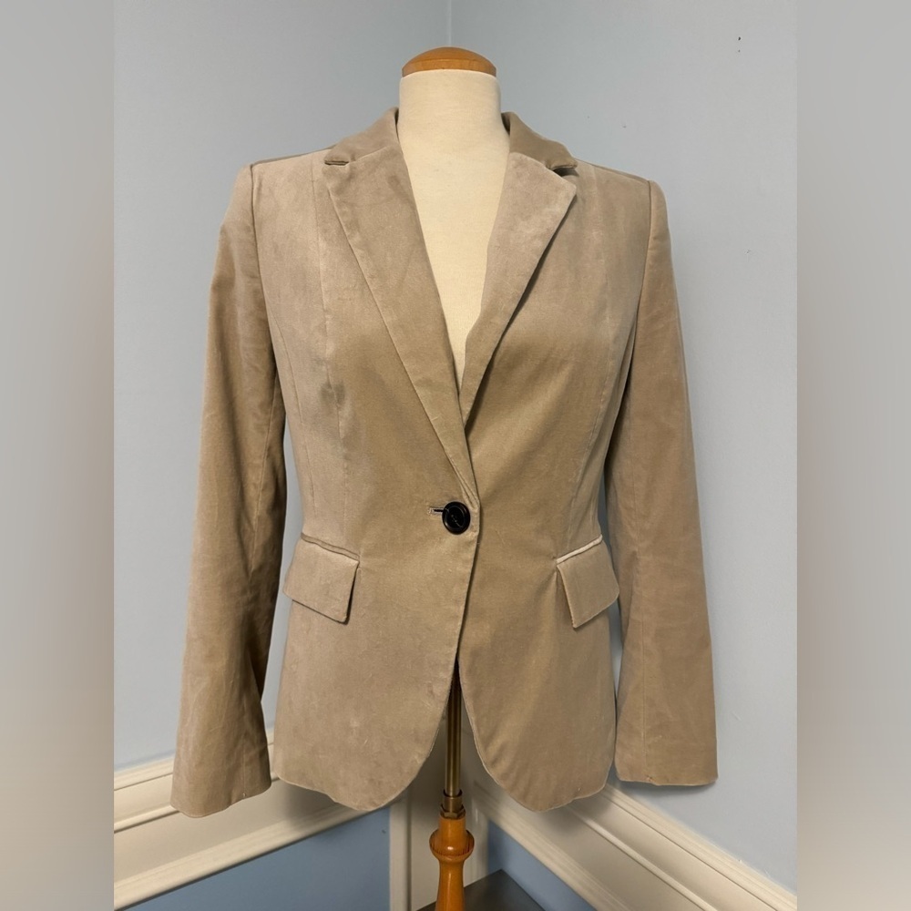 Zara - Velvet fitted blazer